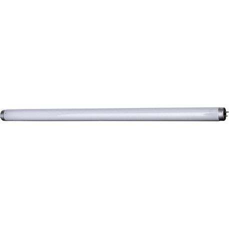 Lâmpada Fluorescente Tubular T10 20W LDE Osram